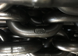G80 Chain